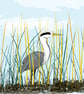 Heron - print from bird illustration with mount - Image 2