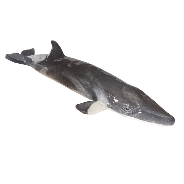 Minke Whale Ceramic Sculpture - Hand Built
