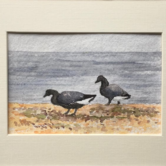 Brent geese original art 