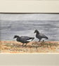 Brent geese original art  - Image 1
