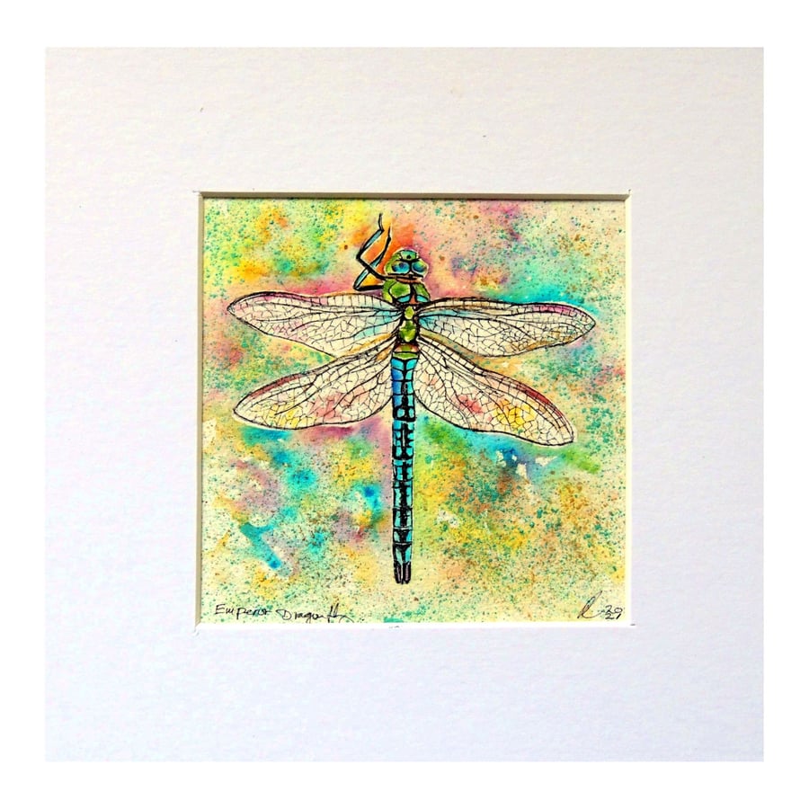 Dragonfly  Watercolour Original Painting