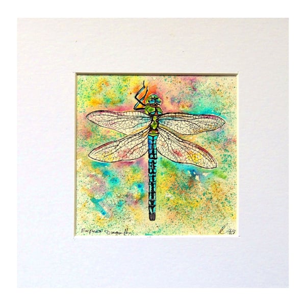 Dragonfly  Watercolour Original Painting