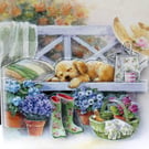 Birthday greeting card 'Sit Back and Relax'
