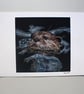 European Otter Fine Art Giclee Prints  - Image 1