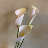 Florrie's Paper Flora