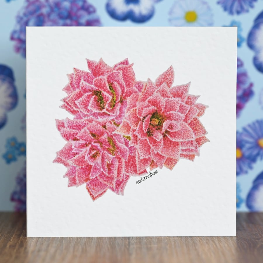 Kalanchoe Blank Floral Card
