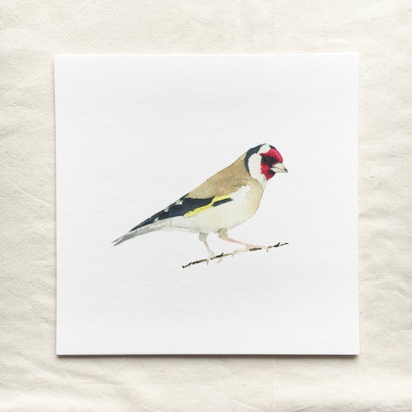 Watercolour goldfinch giclée print