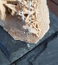 Smokey Quartz Rondelles and Sterling Silver Necklace  - Image 4