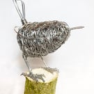 Wire Wren sculpture 