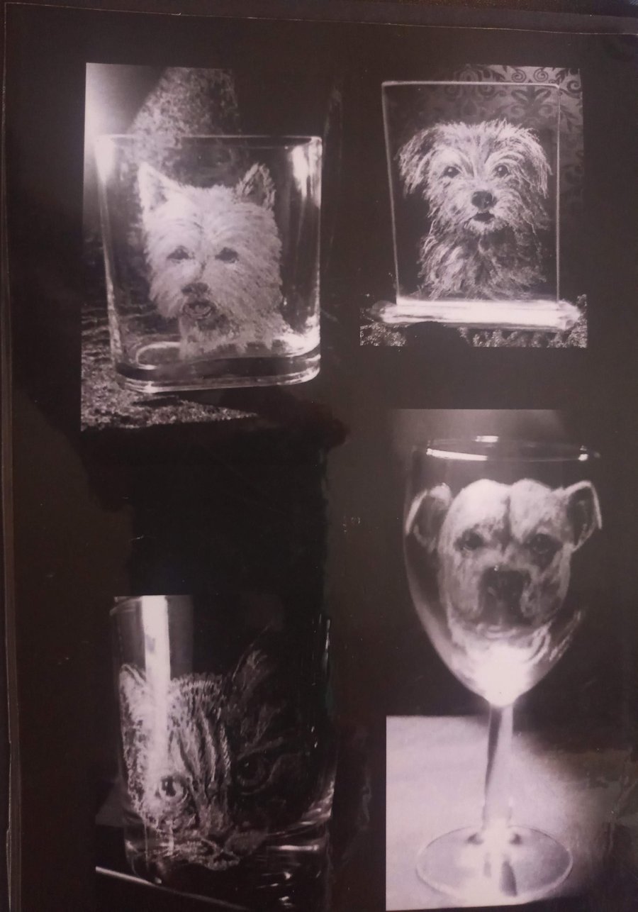 Pet Portraits on glass
