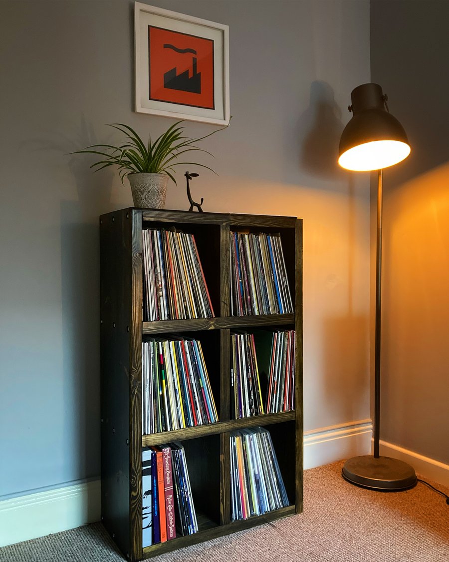 Vinyl Record Storage Unit