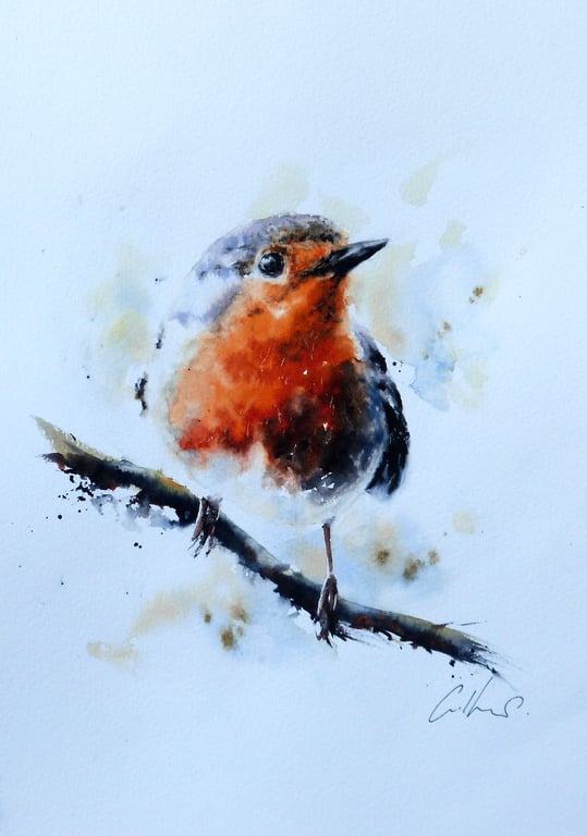 Robin, Professional Giclée Print.
