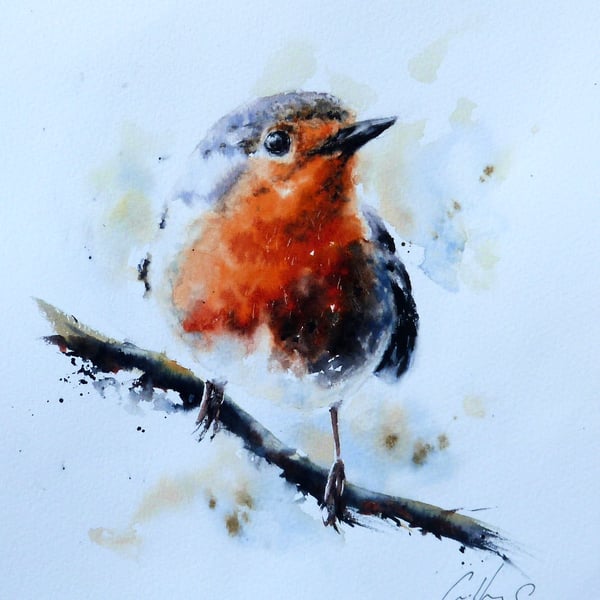 Robin, Professional Giclée Print.