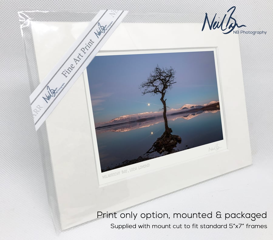 Milarrochy Bay Tree Loch Lomond Scotland - A6 (7" x 5") Unframed Print