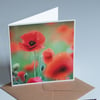 Fine Art Photo Card 'Red Poppy'