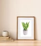 Snake Plant Botanical Art Houseplant Digital Print - Image 1