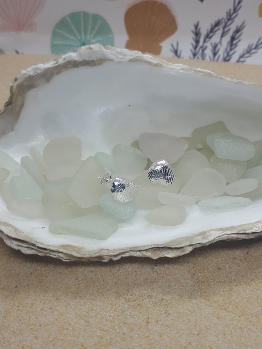 Small fine silver cockle shell studs earrings