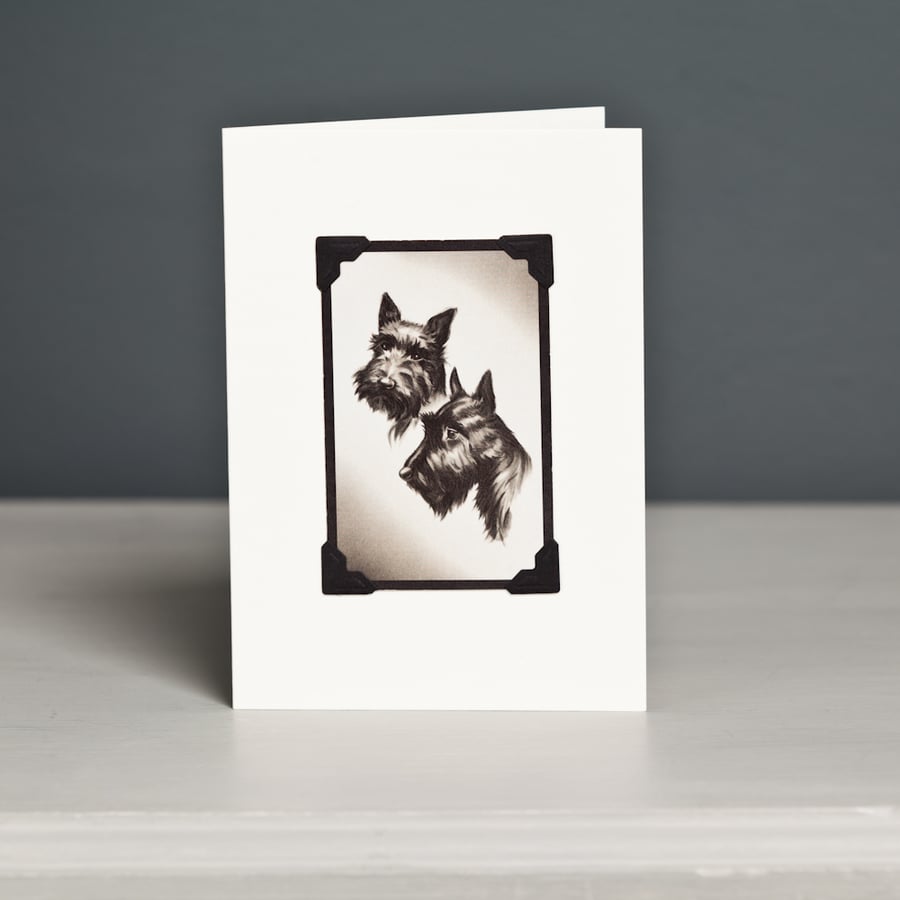 Two Scottish Terriers Greeting Card