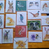 10 assorted cards - Wildlife and Farm Animals (mix and match)