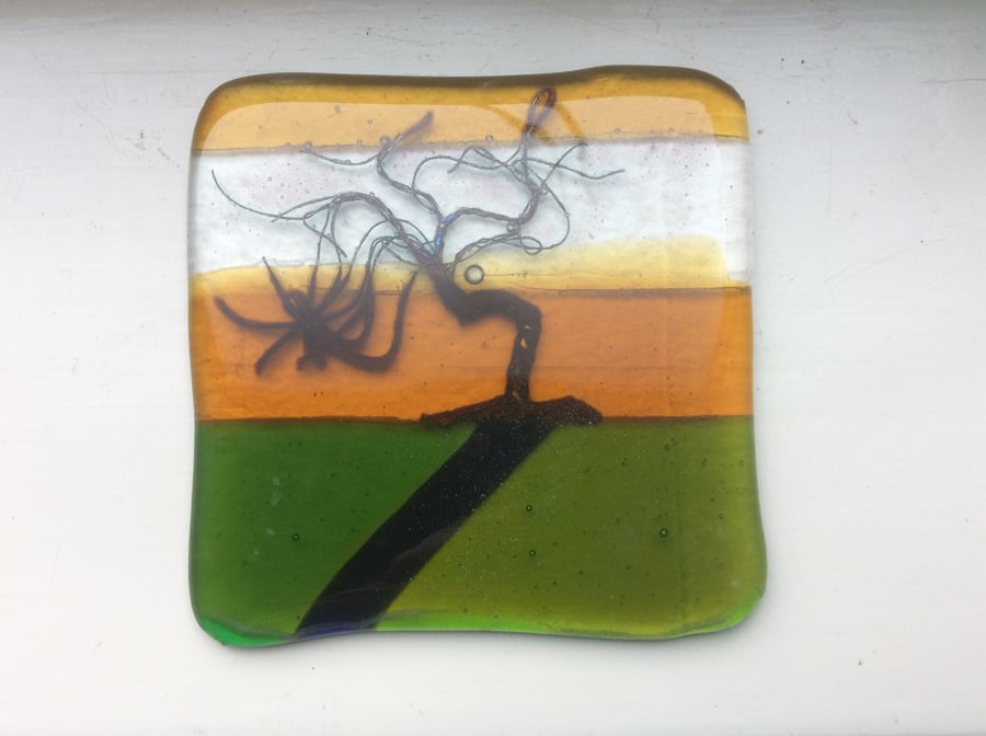 Fused Glass Winter Trees Coaster or Suncatcher