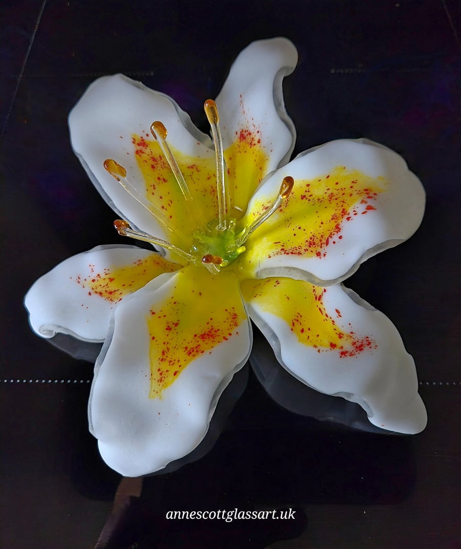 Handmade Fused Glass Matte White and Yellow Stargazer Lily with Wall-mount