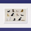 Dogs - print from digital illustration. Pets. Animals.