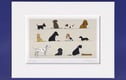 Dogs, cats, horses and hares