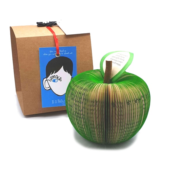 Wonder Personalised Book Gift 