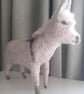 Donkey   - Image 4