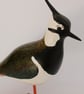 Lapwing - Image 4
