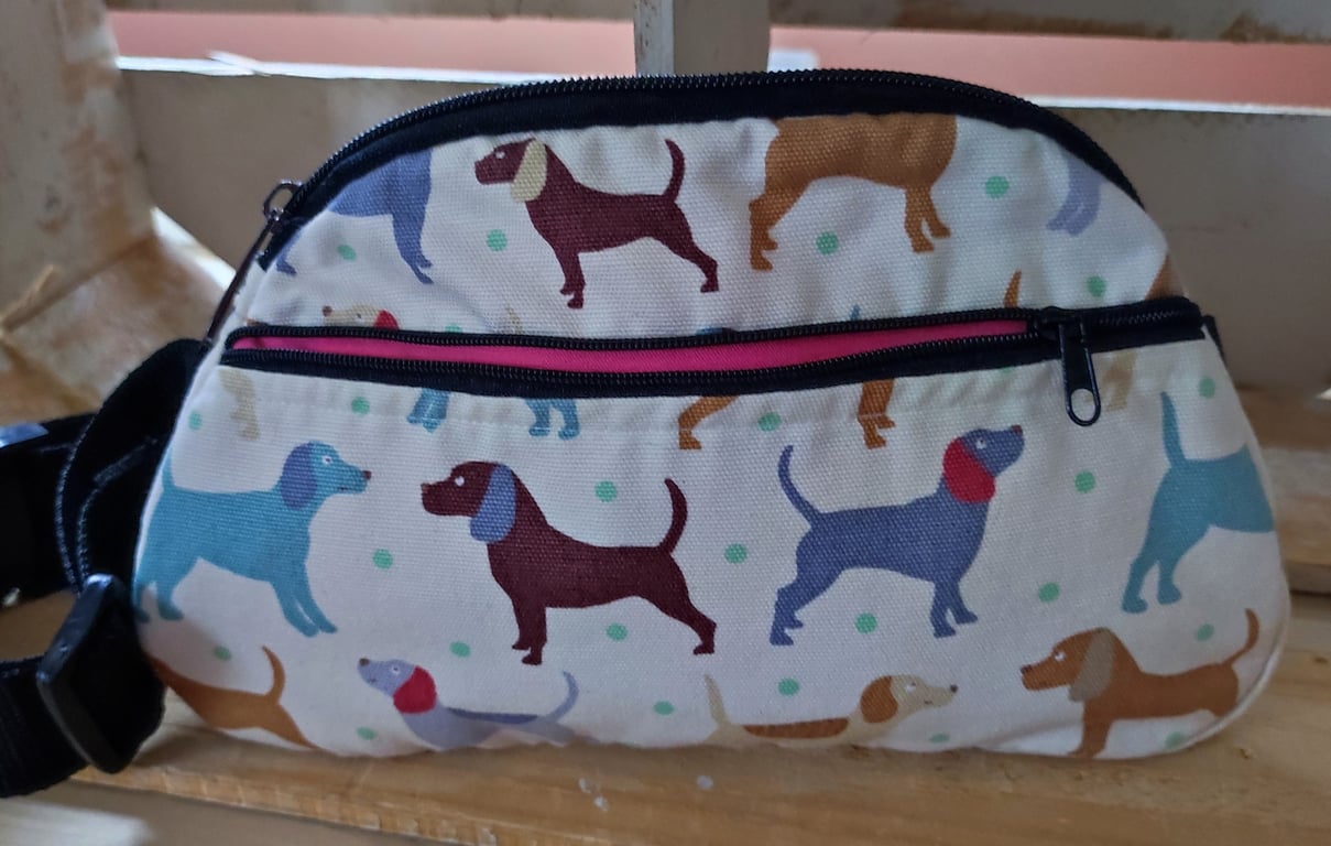 Bumbag  UK delivery free