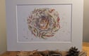 Limited Edition Prints