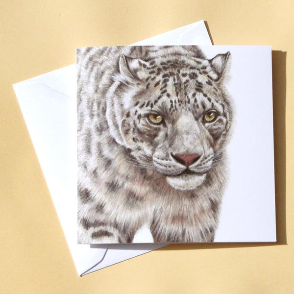 Greetings Card - Blank - Snow Leopard