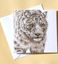Greetings Card - Blank - Snow Leopard - Image 1