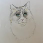 Antonia's Art