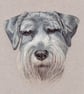 Greetings Card - Blank - Schnauzer Dog Portrait - Image 3