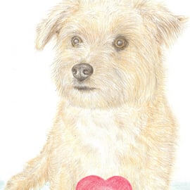 Muffin the Little Dog - Mother's Day Card