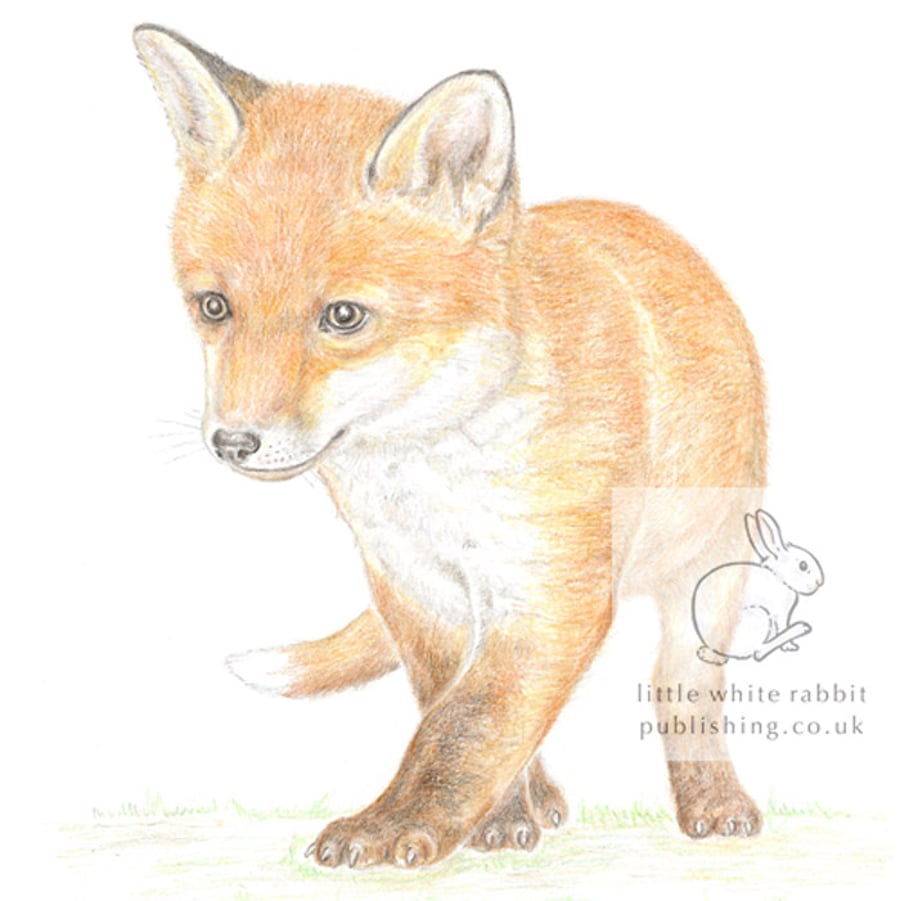 Fox Cub - Blank Card