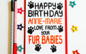 Pet Birthday Cards