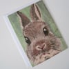 Rabbit Card