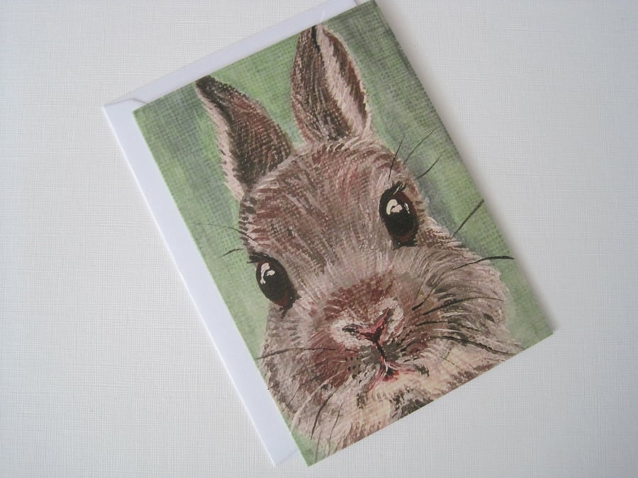 Rabbit Card
