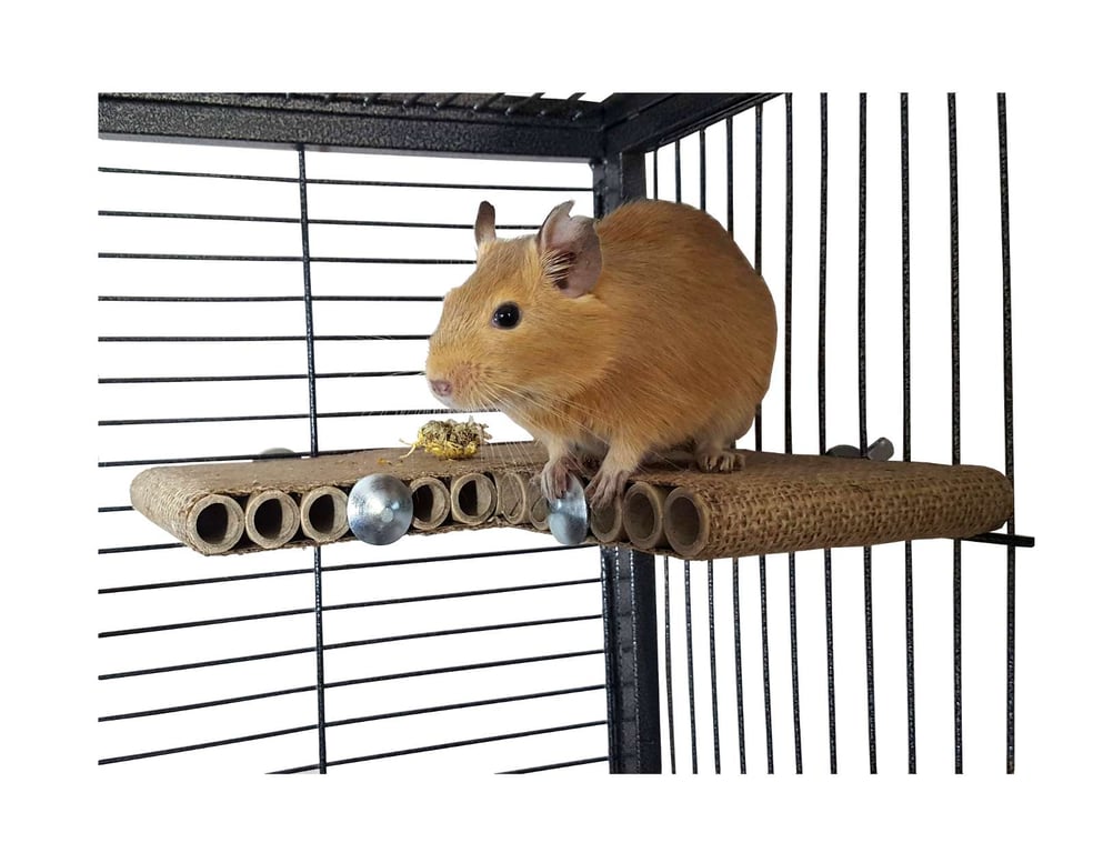 Totally Degu Corner shelf – One pack
