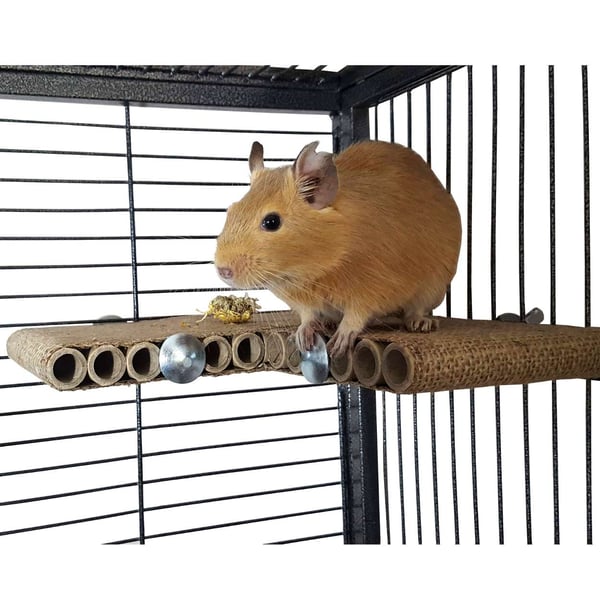 Totally Degu Corner shelf – One pack