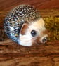 Hedgehog hand painted on rock  - Image 2
