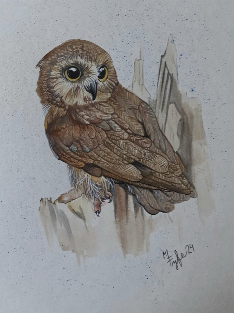 watercolour painting of small owl