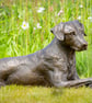 Lying Mixed Breed Rescue Dog Statue Large Bronze Resin Garden Sculpture - Image 2
