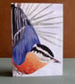 Blank Fine Art Card with envelope
