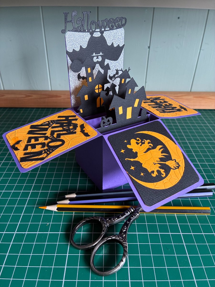Handmade 3D Box Halloween Bat Card