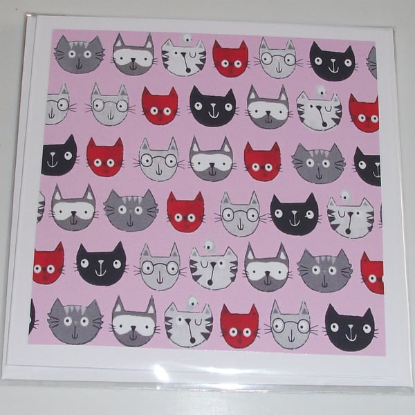 Cat birthday card, cat birthday card, cats