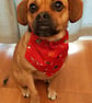 Christmas dog bandana,  dogs in Christmas jumpers, Merry Woofmas! from 4.00 - Image 6